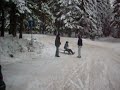 zimske norosti