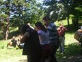 Divri-i-Gen-lik-Kul-