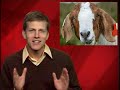 No cow fart tax!
