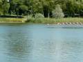 XIV OMM 2008 finał 8+ MJM
