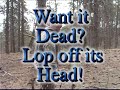 Gobbler Guillotine in Nebraska 3