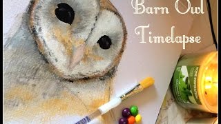 Barn owls and voiceovers