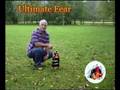 videos de Ultimate Fear Firework