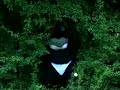 SHOCKING SNATCHSQUATCH SIGHTING SHOCKING SNATCHSQUATCH SIGHTING