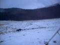 videos de Raduno Meteotriveneto Valmenera 2008 Bruno Renon