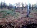 videos de Ostra jazda po lesie : yamaha xt 600