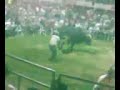 toro \"el profesor jirafales\" toro \"el profesor jirafales\"