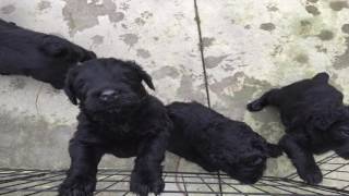 HAPPY BIRTHDAY TO U.S.A. !!