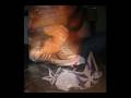 videos de 