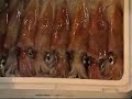 Tsukiji Fish Market