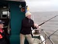Anchorman3 Charters - Dave Catches a Codling Anchorman3 Charters - Dave Catches a Codling