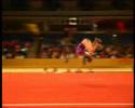 Michal Rotenberg FX 2004 Europeans Michal Rotenberg FX 2004 Europeans