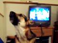 videos de Luka's sing along with Andre Rieu.MOV