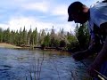 fishing the ausable