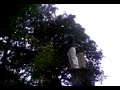 1420 bral oliphant