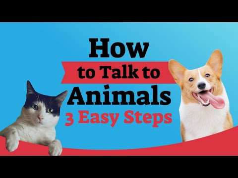 how to talk easy