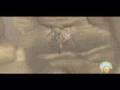 HOLY-WARS-MEGADETH