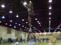 Stephen F. Austin State University Video 2
