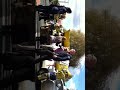 Click here to watch this video Horse trapped after car crash on Forest Hill Rd