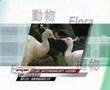 Environment 環境委員會
