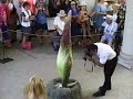 See Video