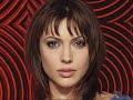 Celebrity Hybrids Celebrity Hybrids