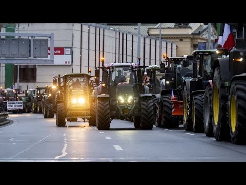 Tschechien: Bauern protestieren gegen die Agrarpoliti ...