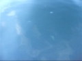 Desolation Sound 7 Day Boating Adventure PT 2