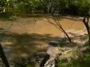 Cottondale Creek Update
