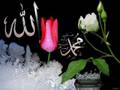 Mann moh liya alam saray da