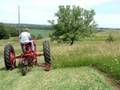 Farmall M sickling