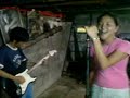 ready aim misfire and i was right by iron cross (cover) ready aim misfire and i was right by iron cross (cover)