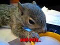 Thumbnail #1