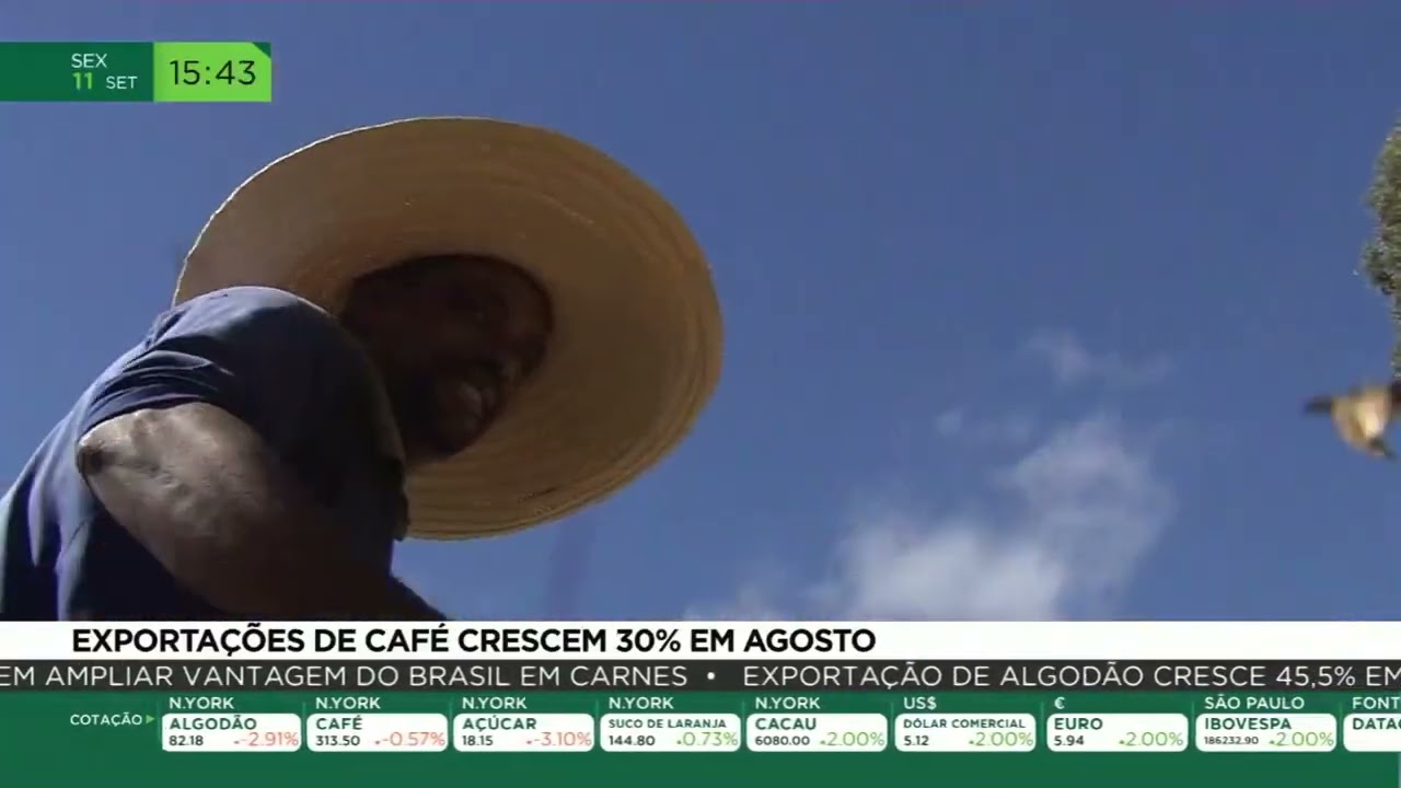 Exportações de café crescem 30% em agosto