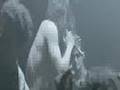 Steven Strait - Undiscovered - The best scene