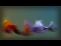 Dancing Particles - Stylized v7