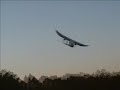 Silverlit X-twin Monoplane