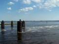 videos de The Molly Chronicles - Cape Fear Ferry.wmv