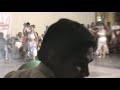 Caja Maynas - Dioses del Olinpo I