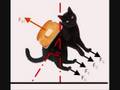 Gatto burro