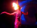 videos de Rabbit in the Moon - Dancer on Fire