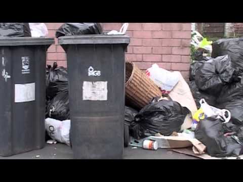 Imagen de previsualización de YouTube
