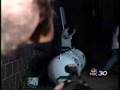 YouTube - NBC 30-BLOOD DESCENDANTS-EXPLOSION 2006