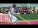 Wushu (Martial Arts) Competition 2008 武術錦標賽