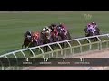 2008 Caulfield Guineas, Whobegotyou