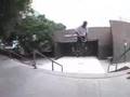 animal bikes 07 promo