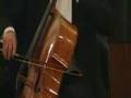 Animato Mendelssohn