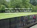 The Wall