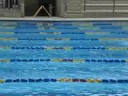 Revez. 4x50m Medley MARESAER 2008