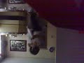 lift me higher!!!!